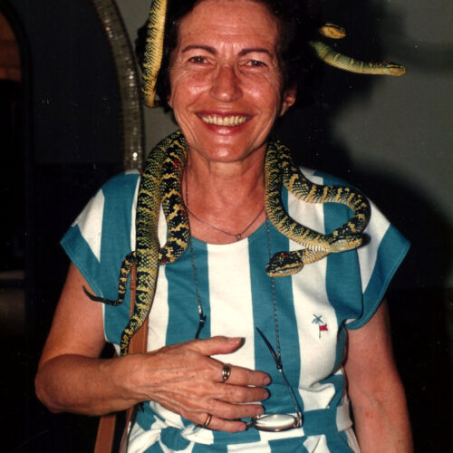 daniela-sallet-producoes-substantivo-feminino-arquivo-giselda-castro