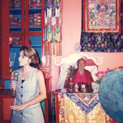 galeria TV budismo